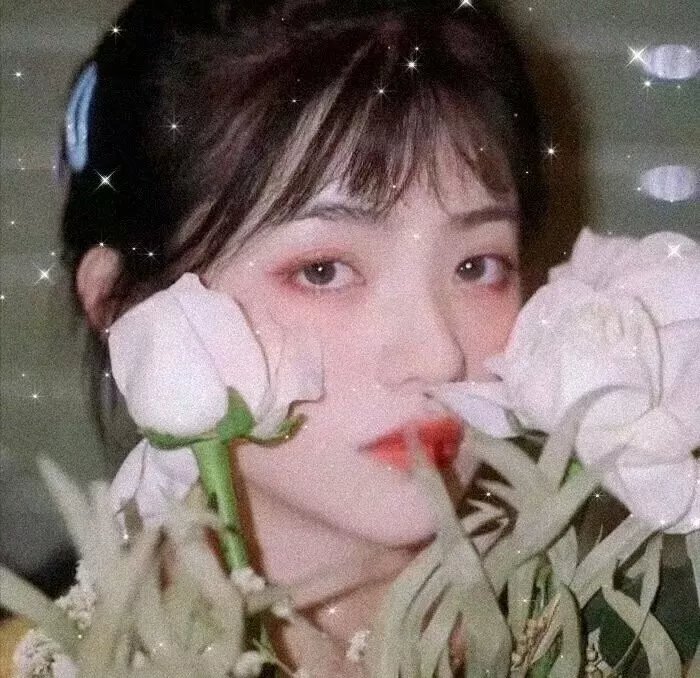 回到爱开始的地方
